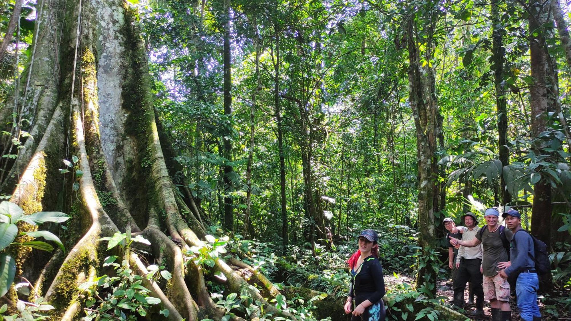 Gaia Amazon Eco Lodge Ahuano Eksteriør bilde