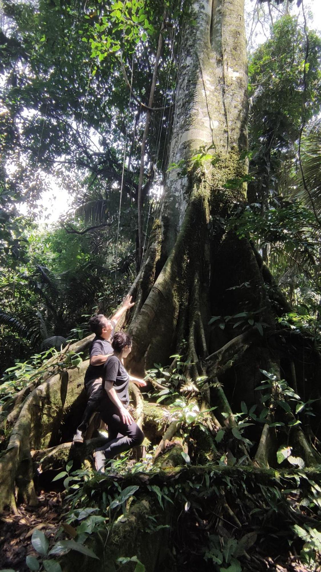 Gaia Amazon Eco Lodge Ahuano Eksteriør bilde