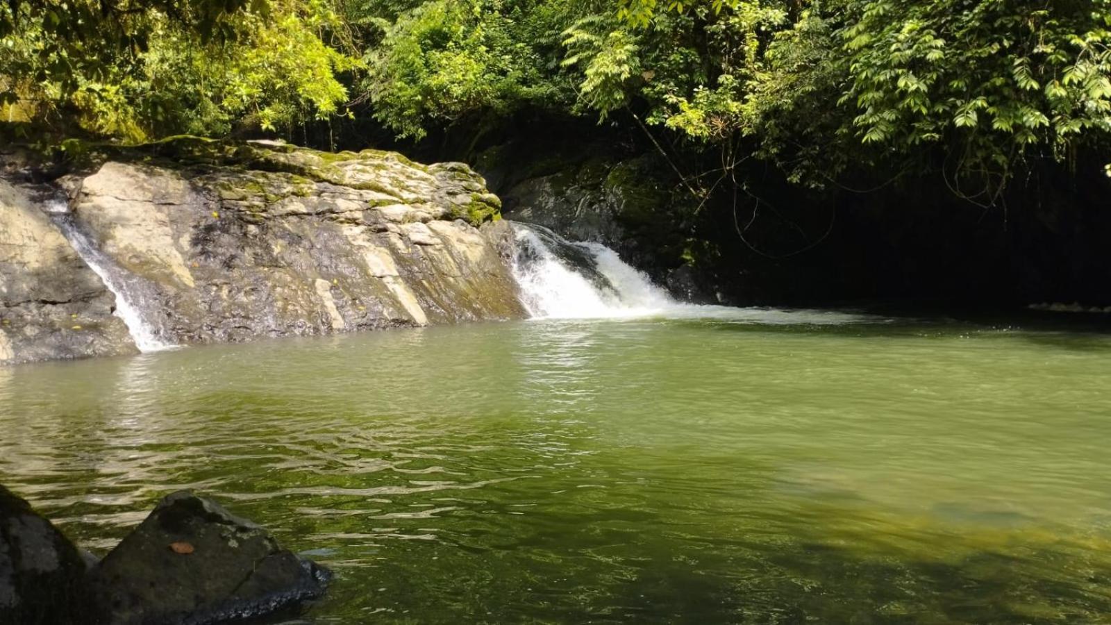 Gaia Amazon Eco Lodge Ahuano Eksteriør bilde